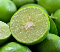 Sour Key Lime